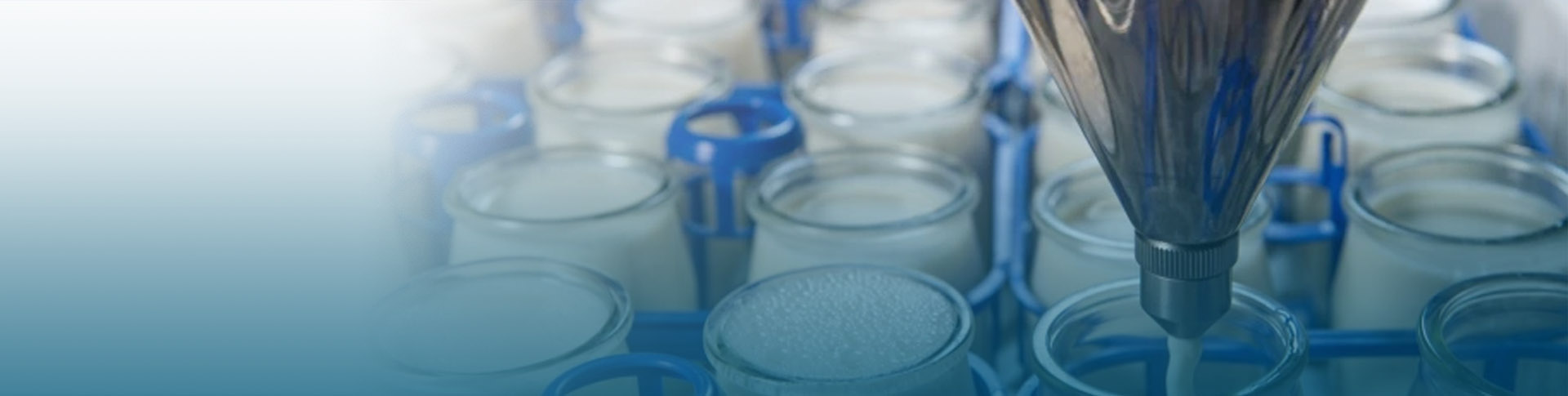 Proceso del sector alimentos